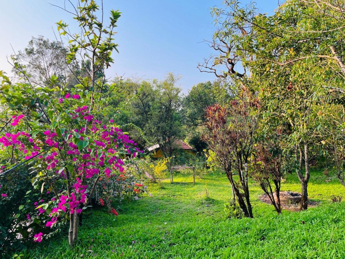 Coorg Daffodil Guesthouse Madikeri Exterior foto